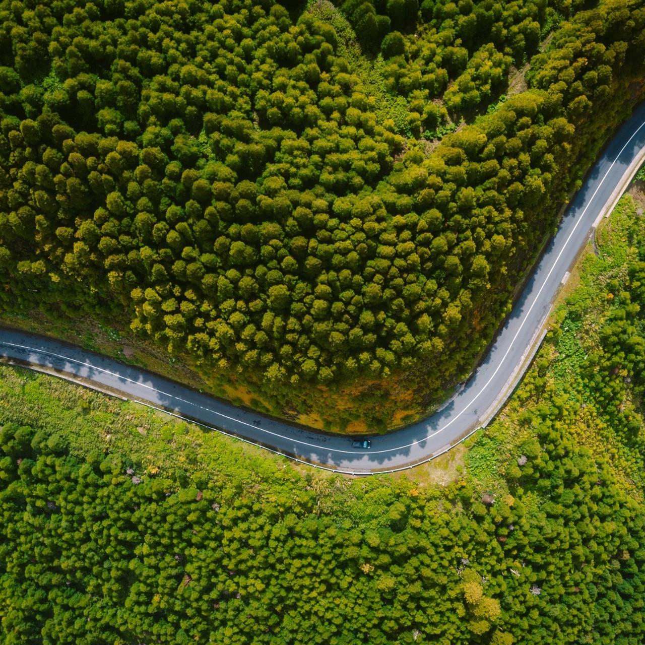 这是一张航拍照片，拍摄的是一条蜿蜒的道路，道路两边长满了绿色的树木.